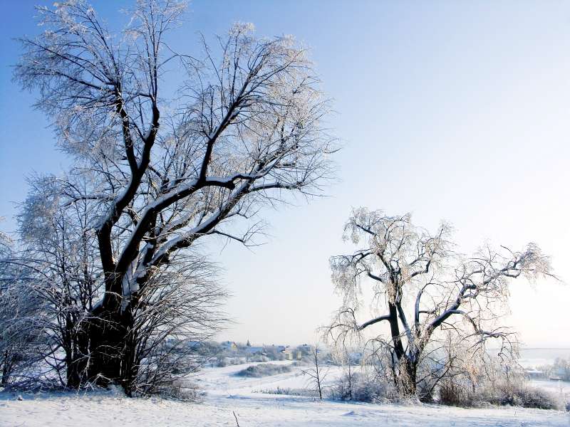 PICT3110.jpg