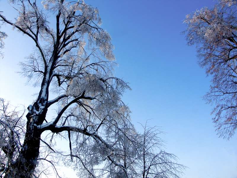 PICT3118.jpg