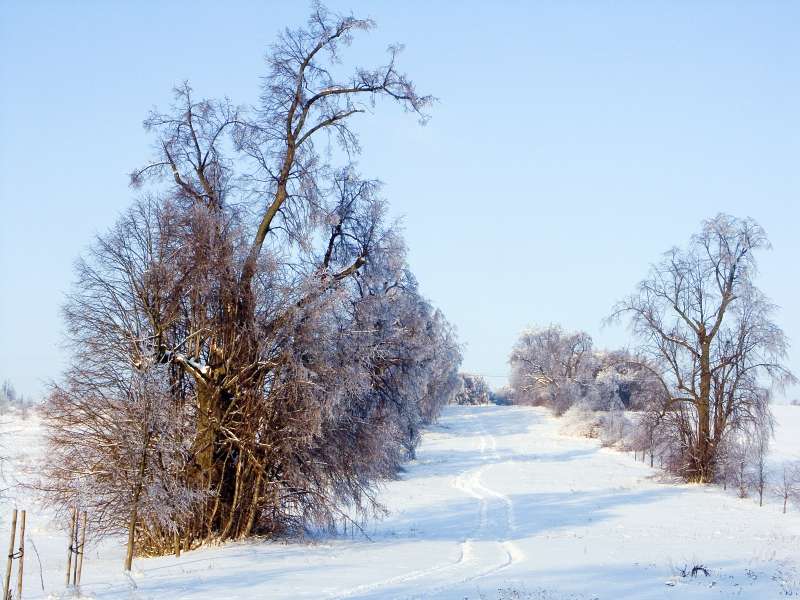 PICT3122.jpg