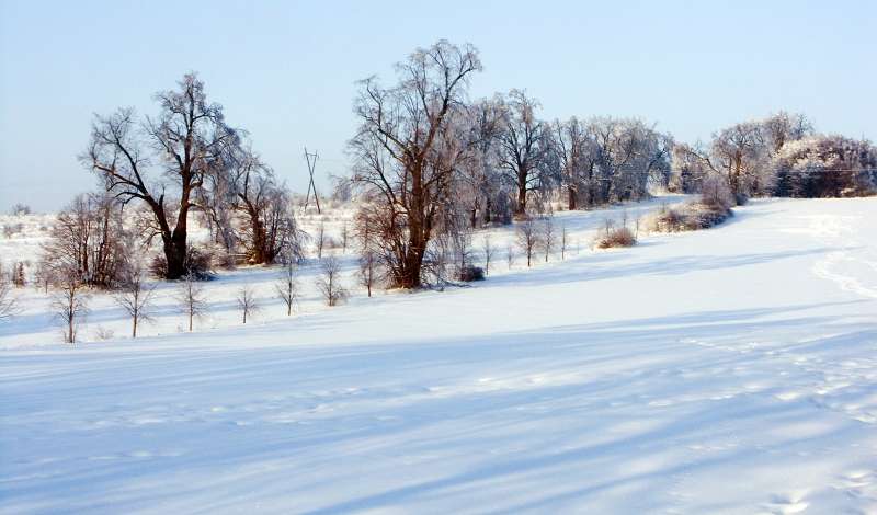 PICT3123.jpg