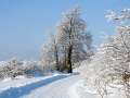 PICT3074
