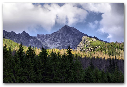 krywan_2014_min