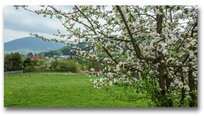 kudlacze_2026_kp1_min