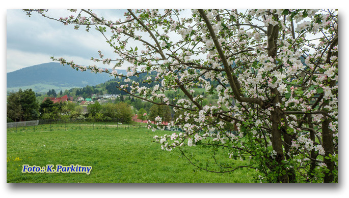 kudlacze_2026_kp2_min