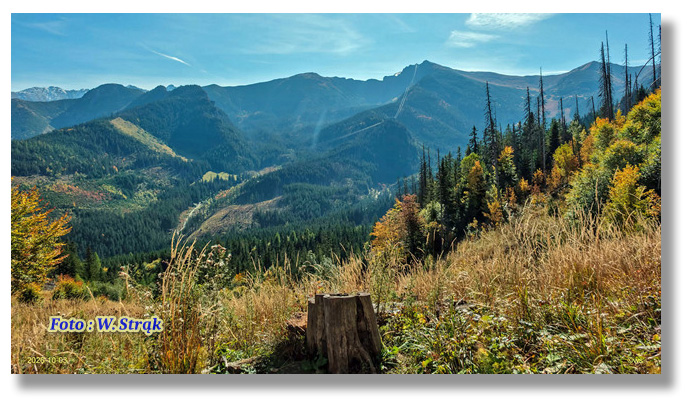 zakopane-2026_ws_min