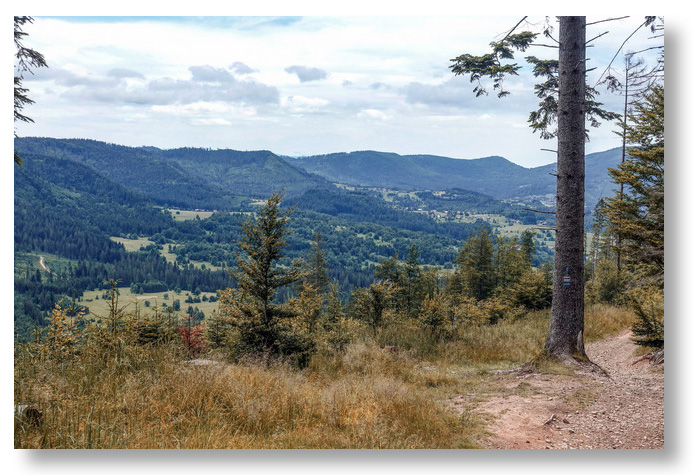 krawcow_wierch_2026b_min