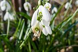 088